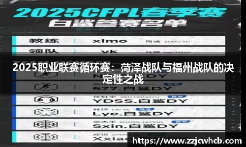 2025职业联赛循环赛：菏泽战队与福州战队的决定性之战